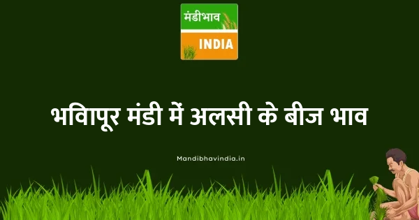 Linseed भाव